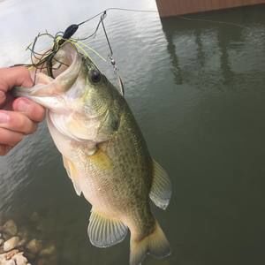 Meet your Posher, Parker